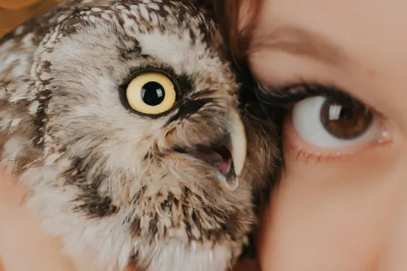 카지노 웰컴 빙고 지원